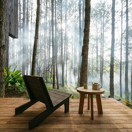 Mo Stay - Forest Resort Dalat Exteriér fotografie