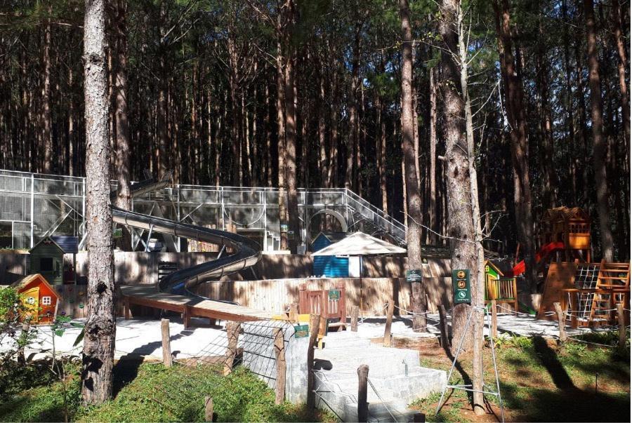 Mo Stay - Forest Resort Dalat Exteriér fotografie