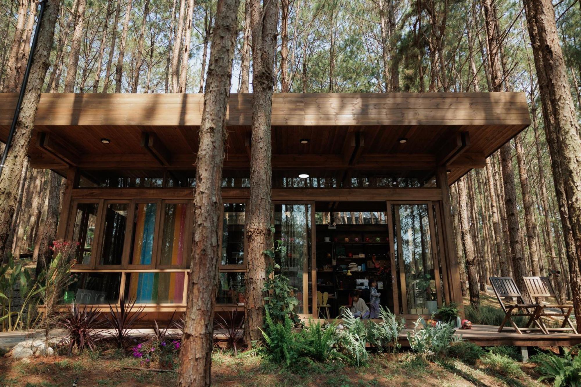 Mo Stay - Forest Resort Dalat Exteriér fotografie