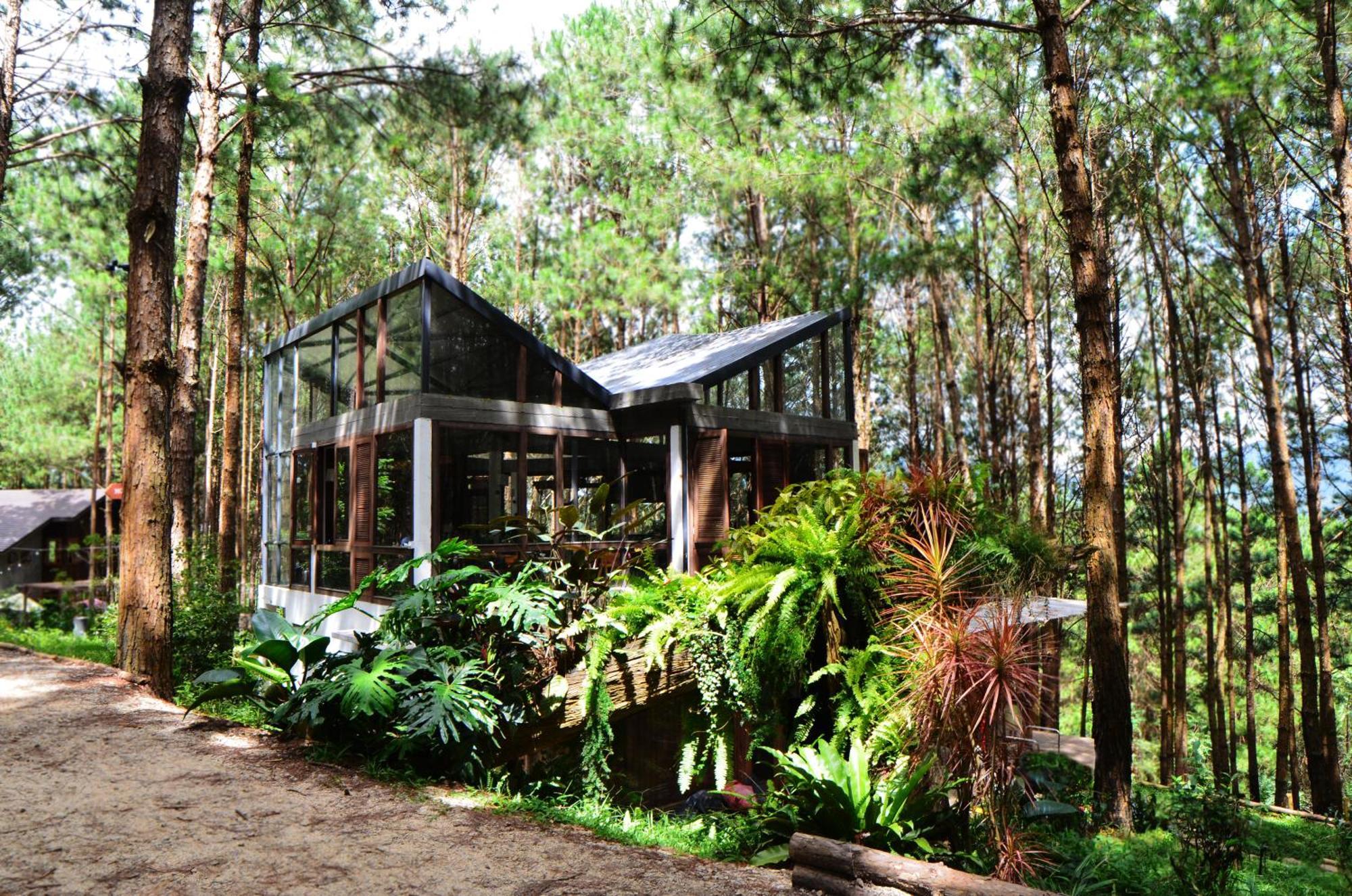 Mo Stay - Forest Resort Dalat Exteriér fotografie