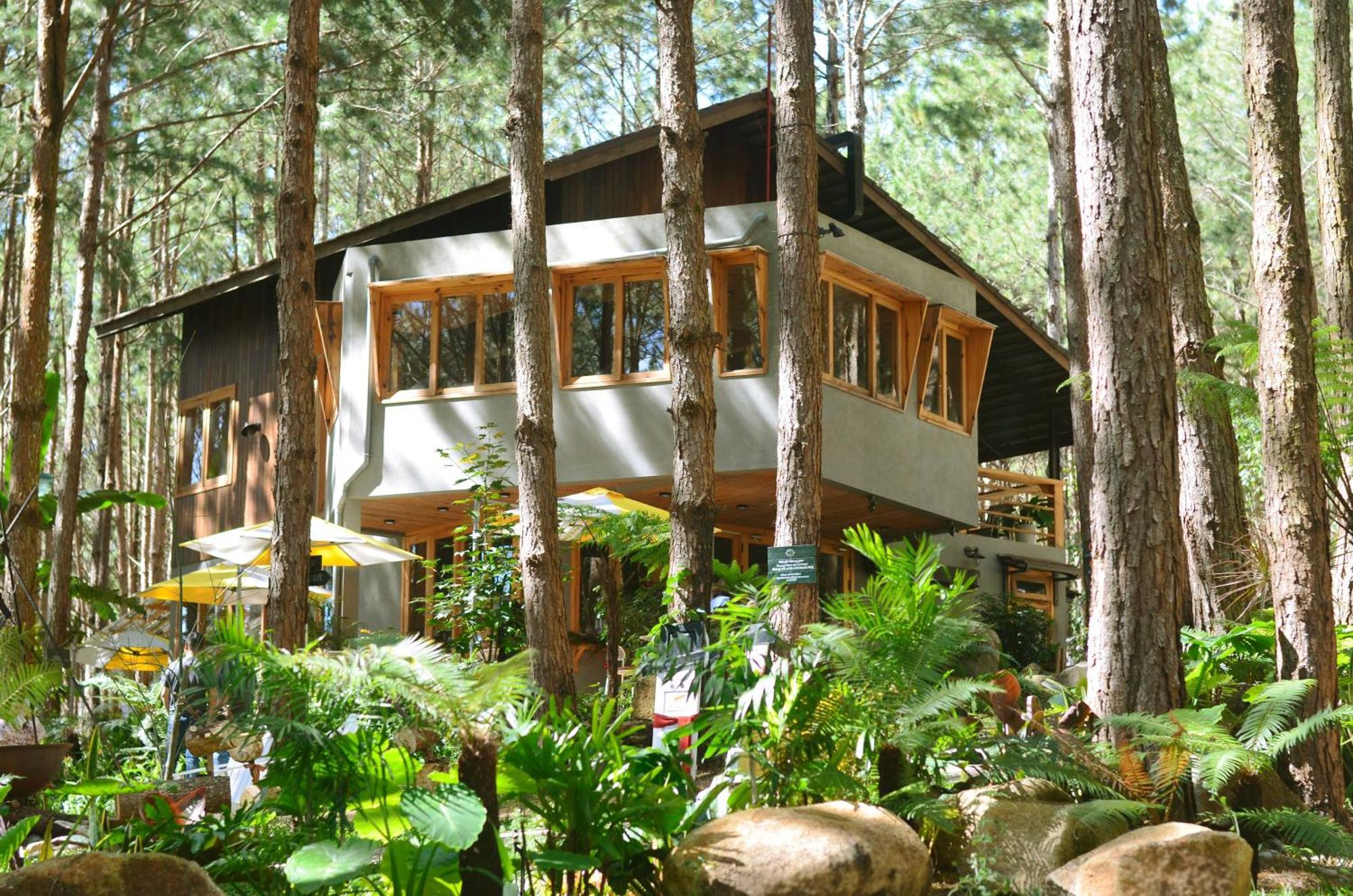 Mo Stay - Forest Resort Dalat Exteriér fotografie