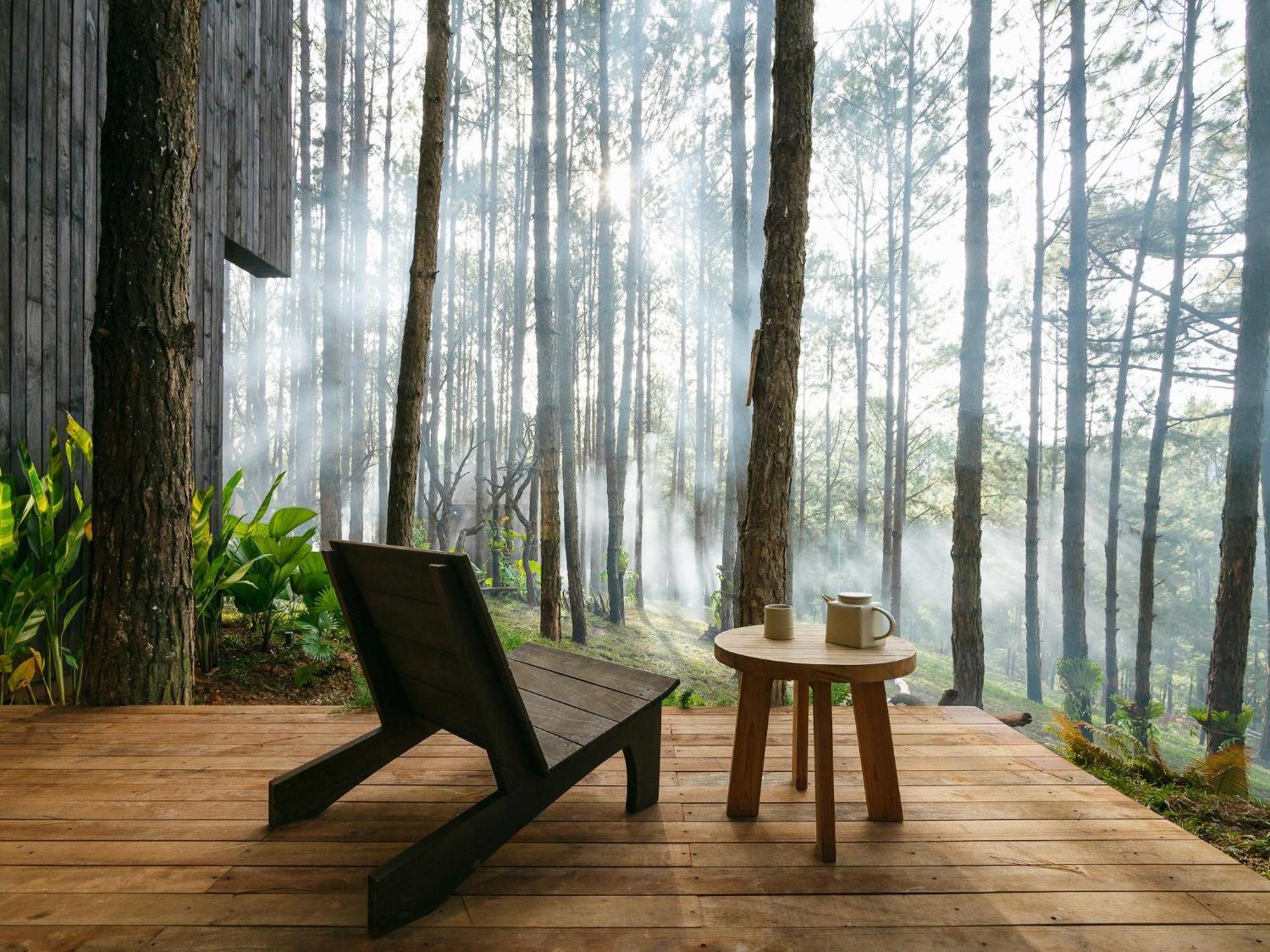 Mo Stay - Forest Resort Dalat Exteriér fotografie