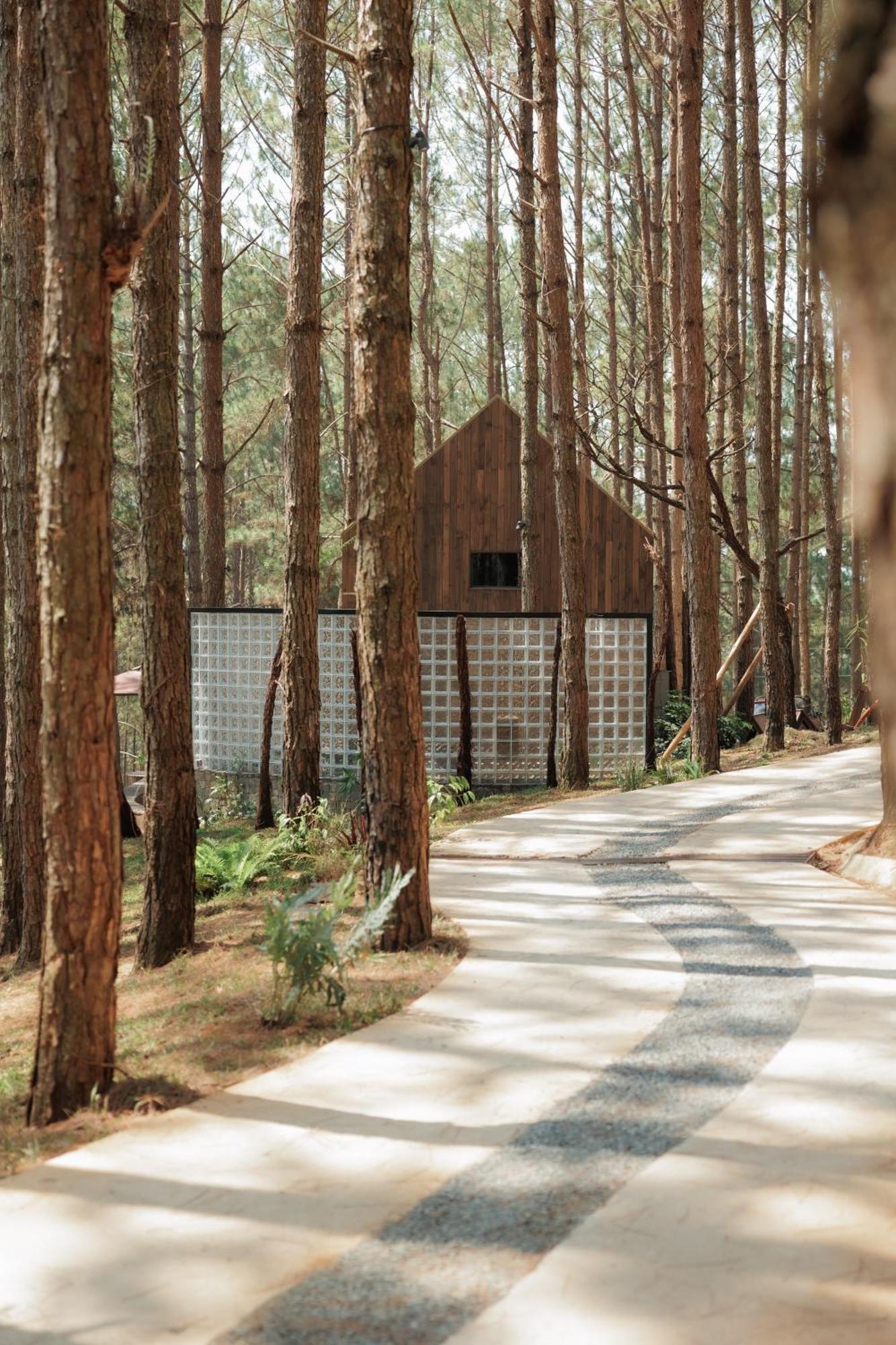 Mo Stay - Forest Resort Dalat Exteriér fotografie