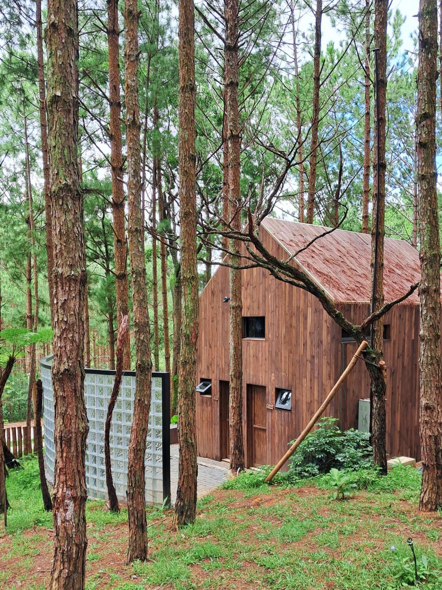 Mo Stay - Forest Resort Dalat Exteriér fotografie