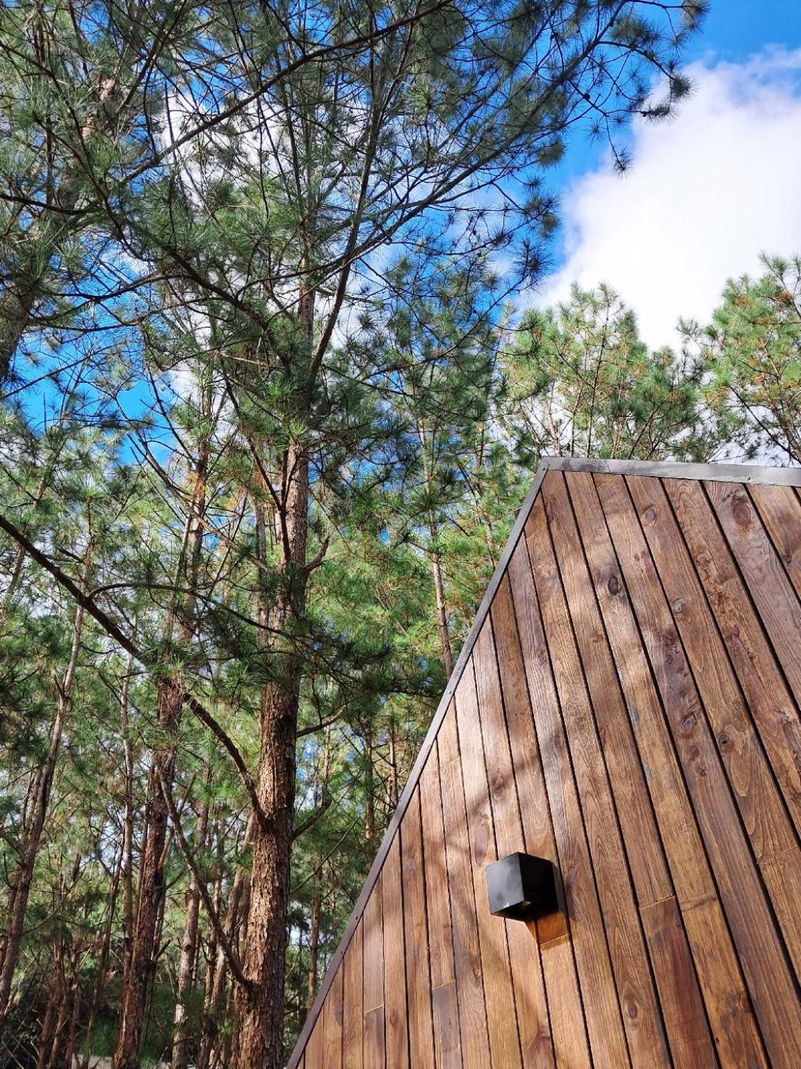 Mo Stay - Forest Resort Dalat Exteriér fotografie